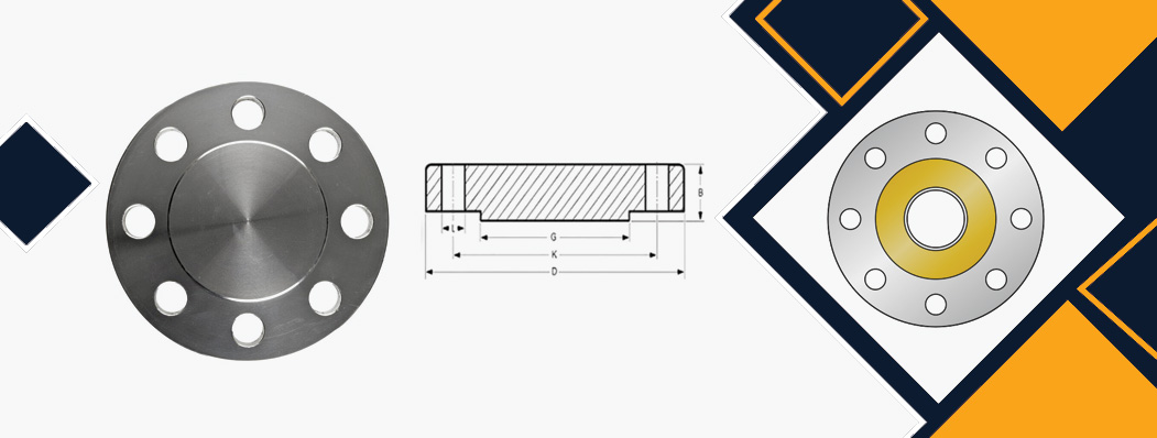 ANSI B16.5 Blind Flanges Manufacturer