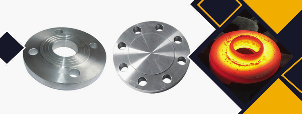 BS 4504 Flanges Manufacturer