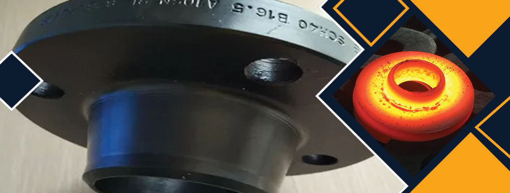 Carbon Steel Welding Neck Flanges Manufacturer