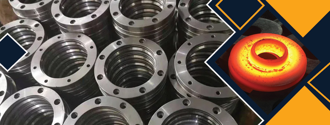 Hastelloy Flat Face Flanges Manufacturer
