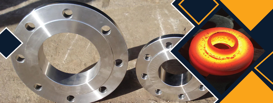 Stainless Steel 304H Flanges Manufacturer