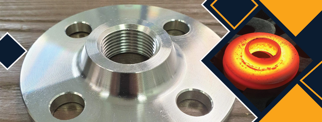 Stainless Steel 316H Flanges Manufacturer