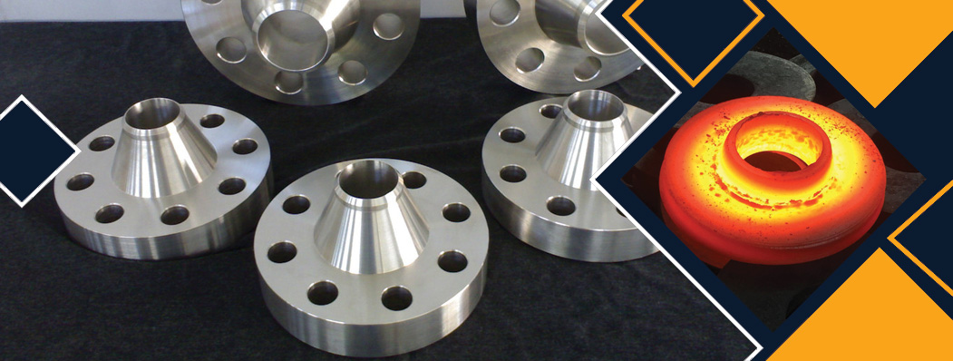 Stainless Steel 317 Flanges Manufacturer