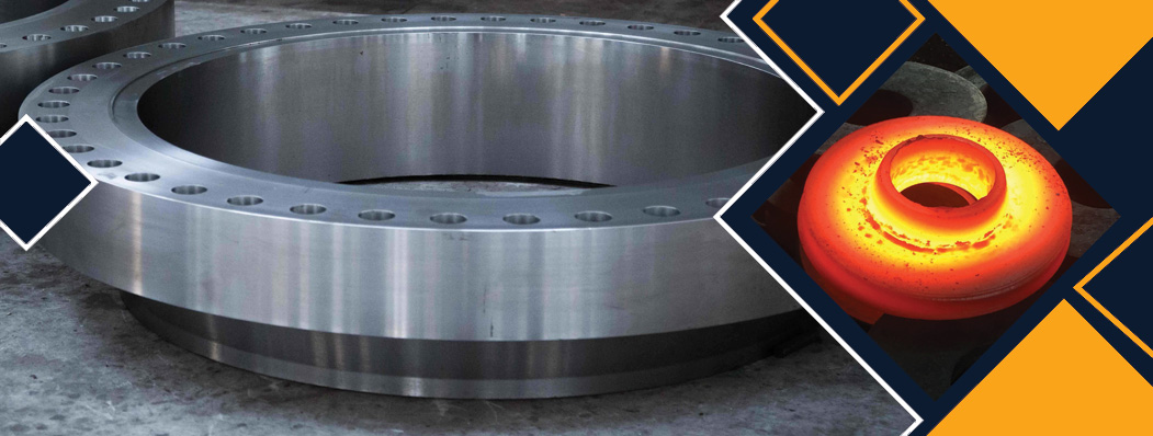 Stainless Steel Forged Flanges Manufacturer
