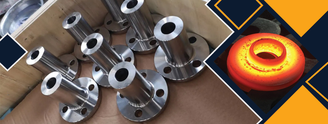 Stainless Steel Long Weld Neck Flanges Manufacturer