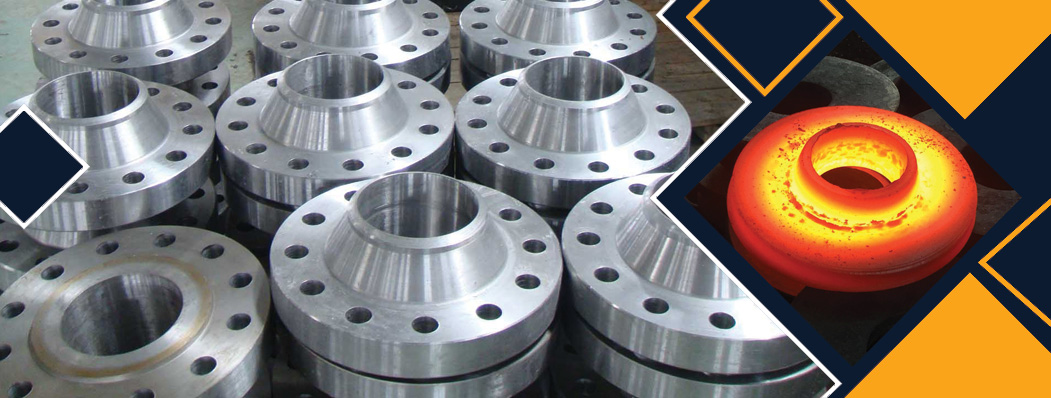 Stainless Steel Welding Neck Flanges Manufacturer