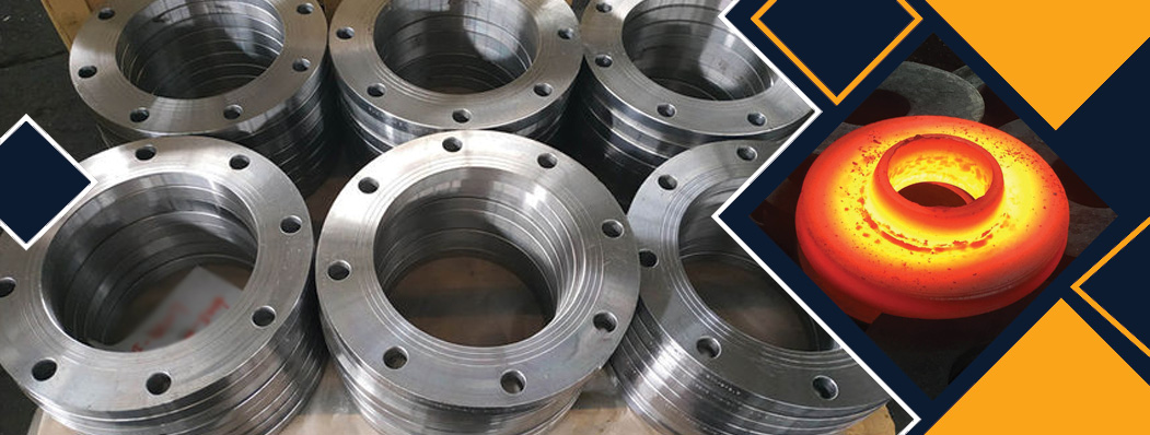 Titanium Forged Flanges Manufacturer