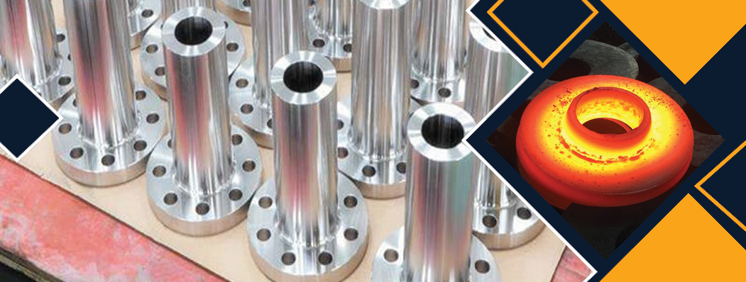 Titanium Long Weld Neck Flanges Manufacturer